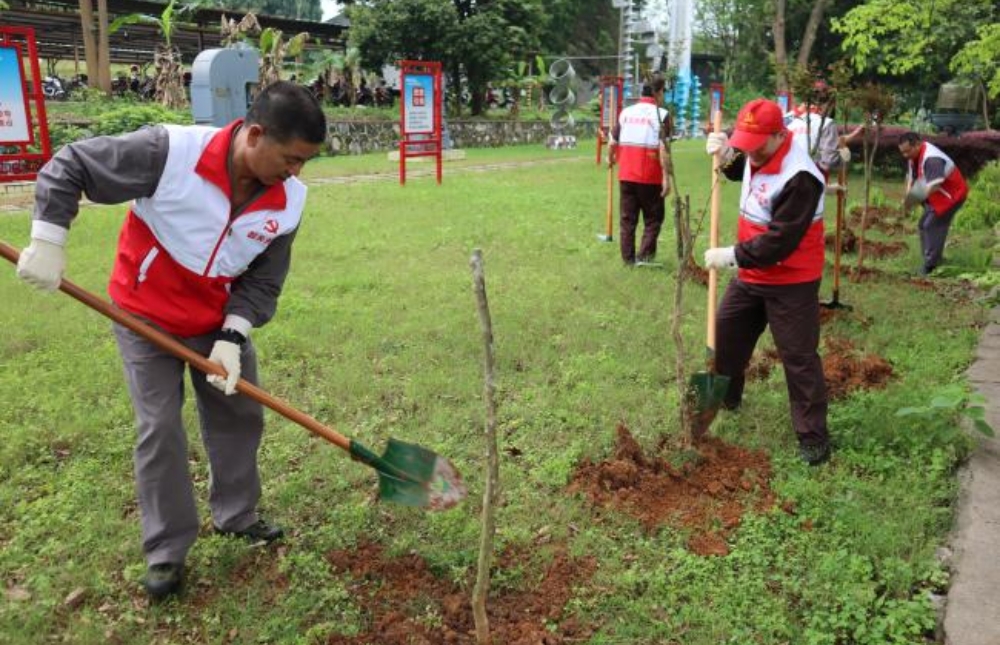 宏大韶化开展植树活动_副本.jpg