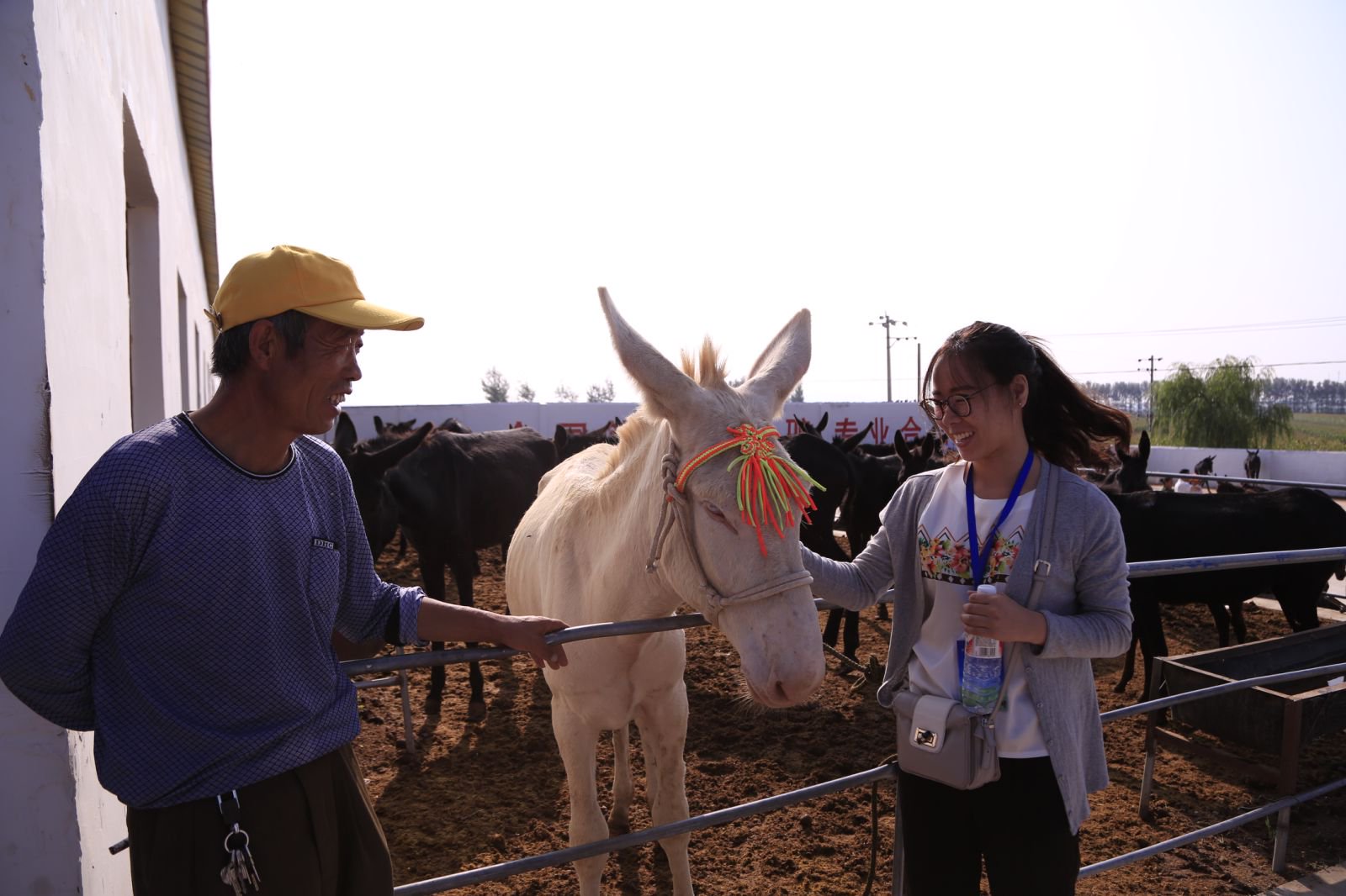 1755824053410609.jpg a0b0b896fpf6b0464b901ec2330b1b46.jpg