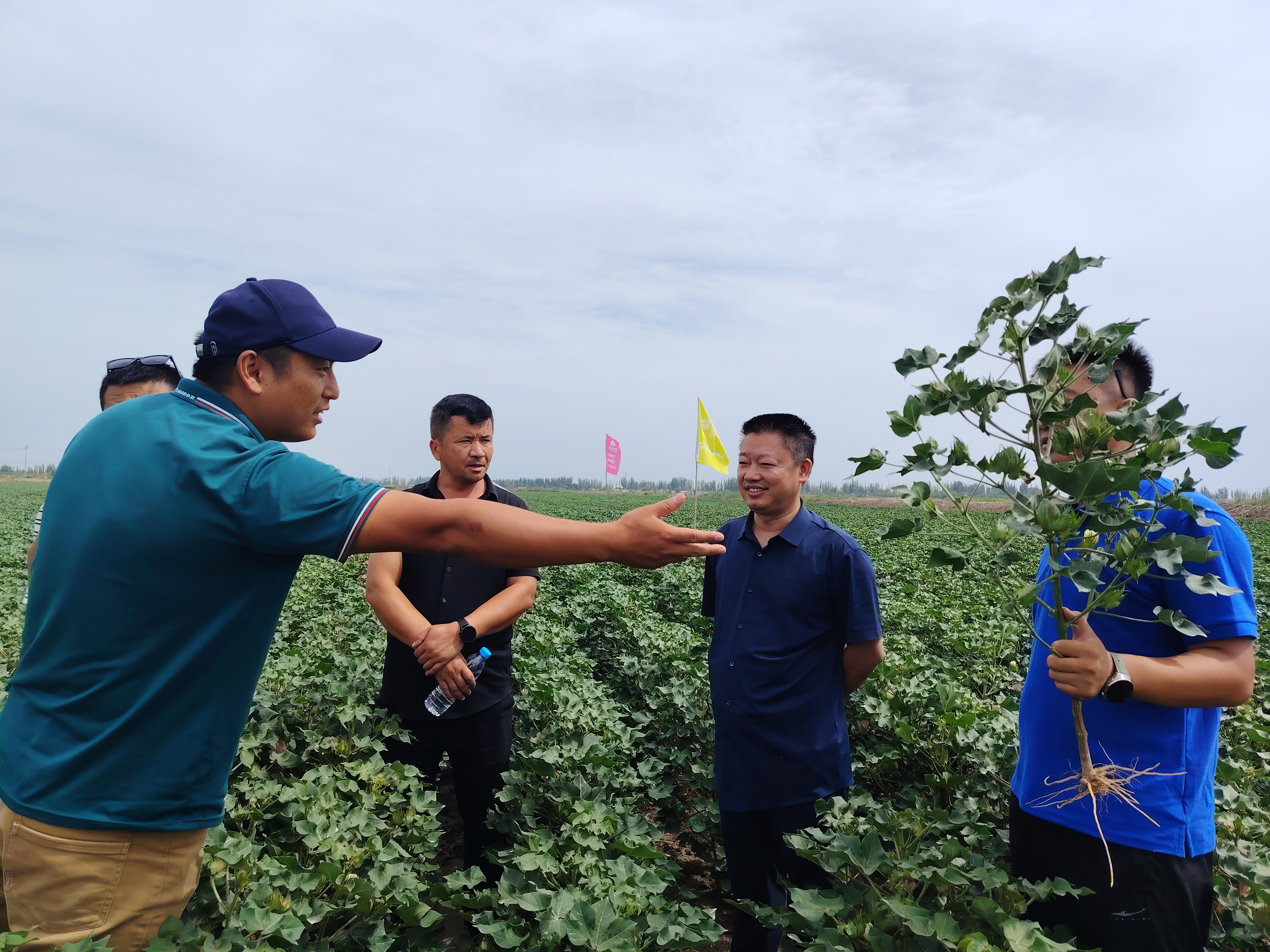 1755824117752754.jpg 辅导.jpg