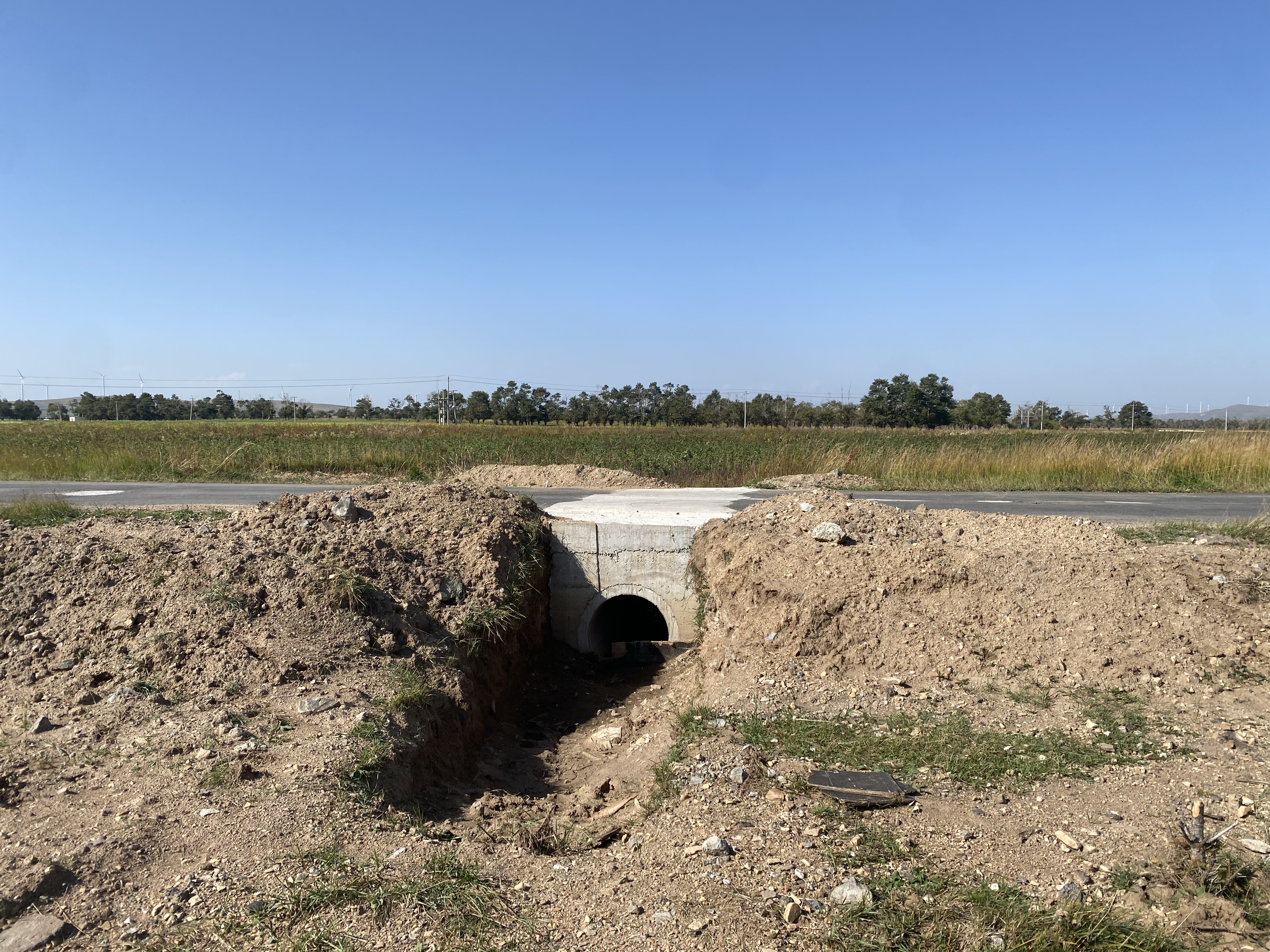 1758782154520211.jpg 党员带头修桥洞.jpg