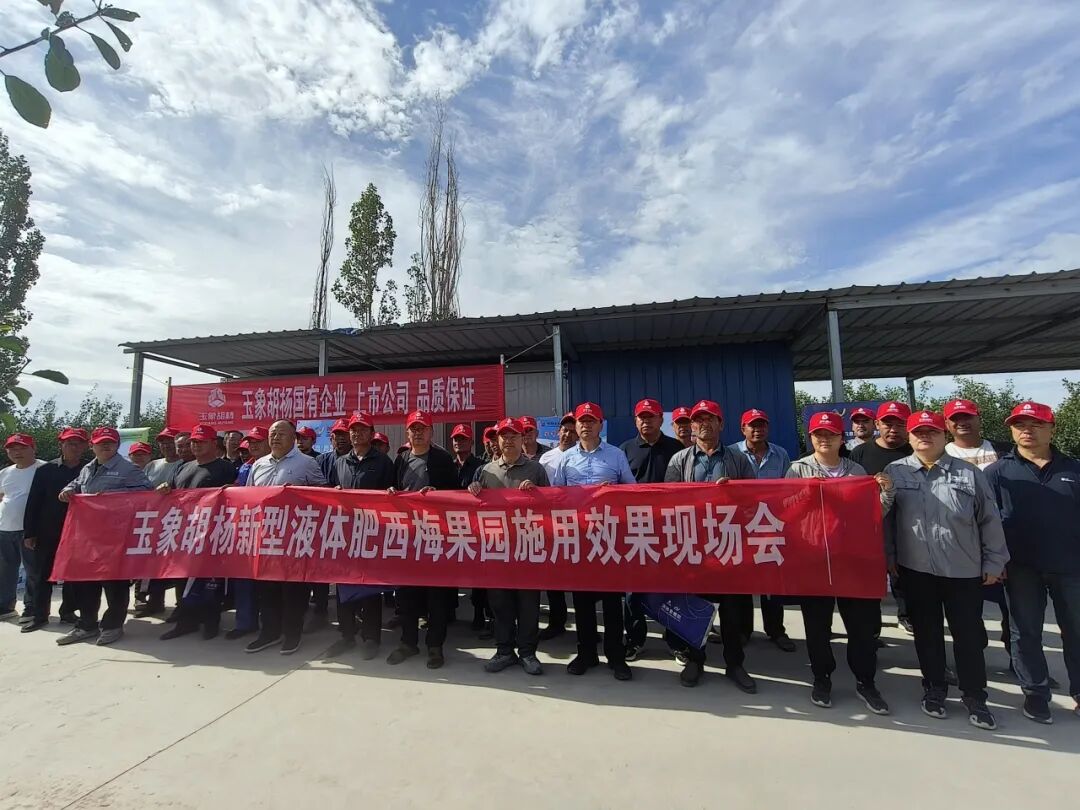 1761617147621077.jpg 640.jpg