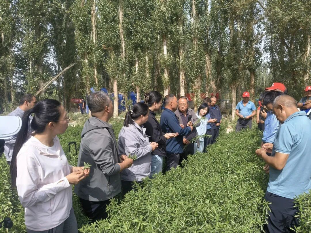 1761617197995626.jpg 640 (2).jpg