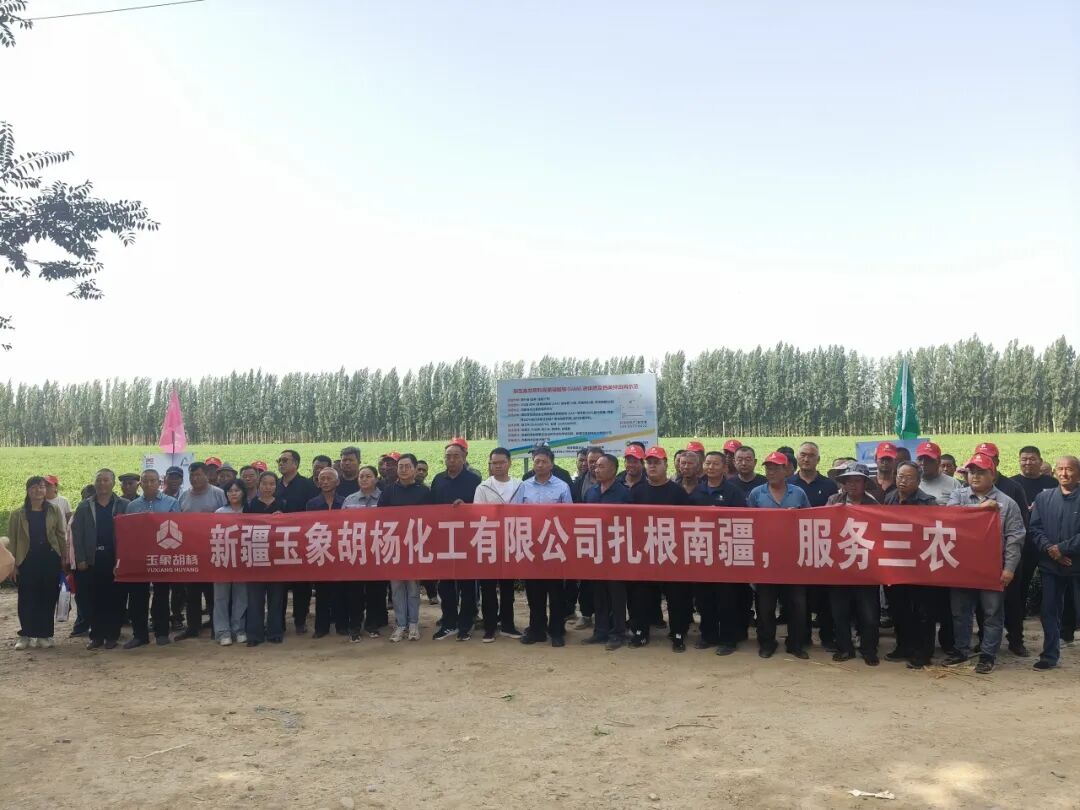 1761617211617893.jpg 640 (3).jpg