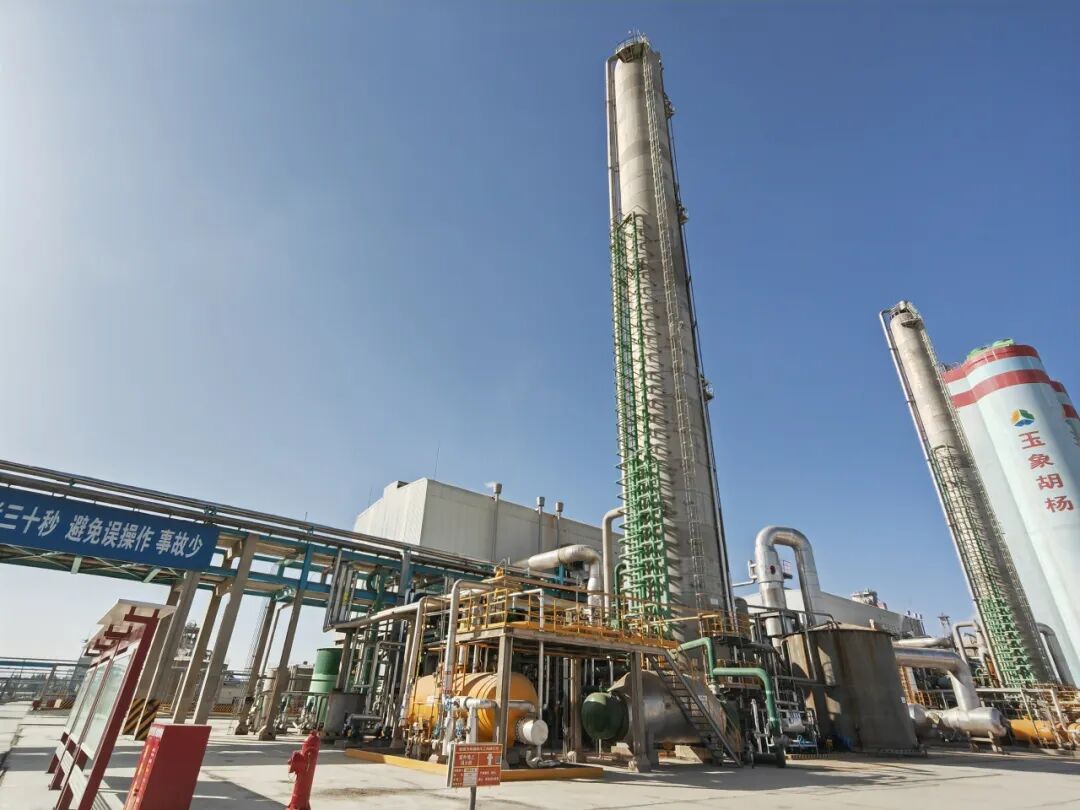 1772258883480950.jpg 640 (2).jpg