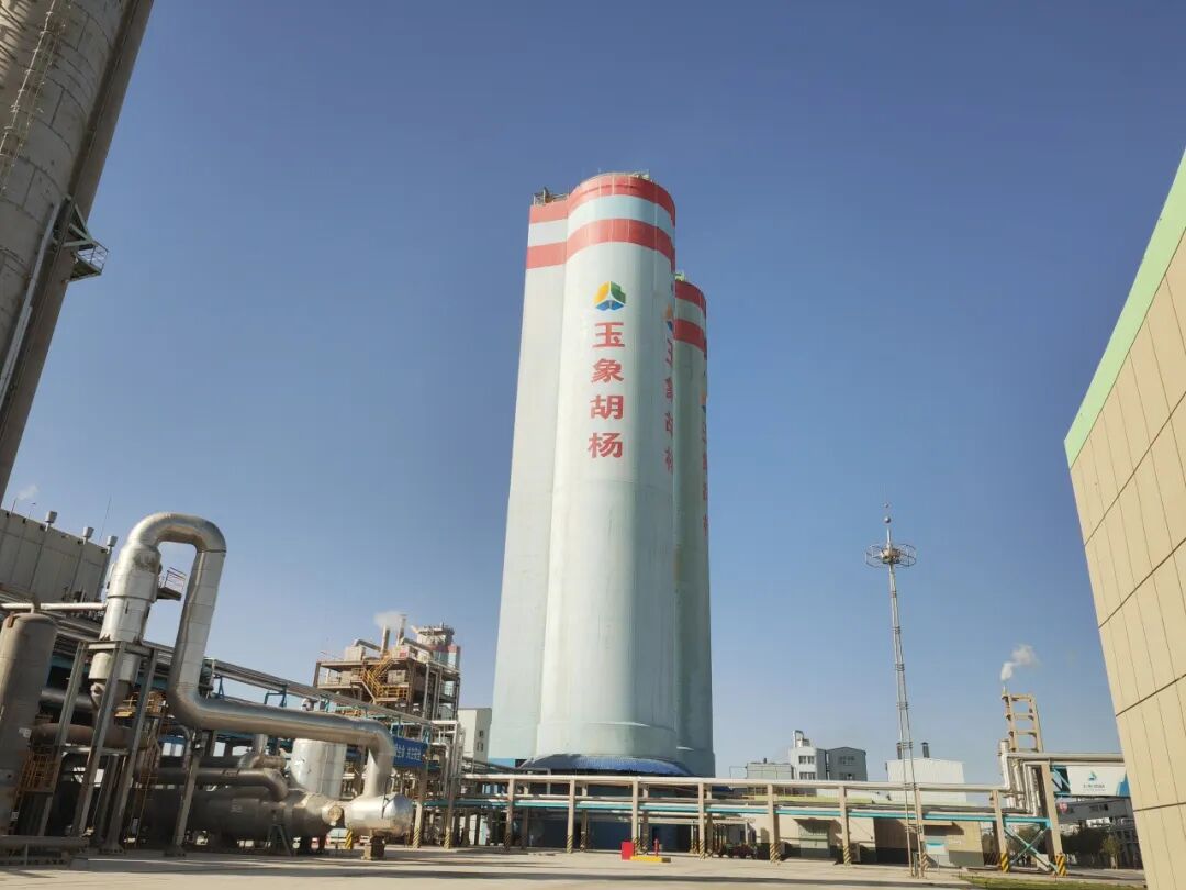 1772258903280179.jpg 640 (3).jpg