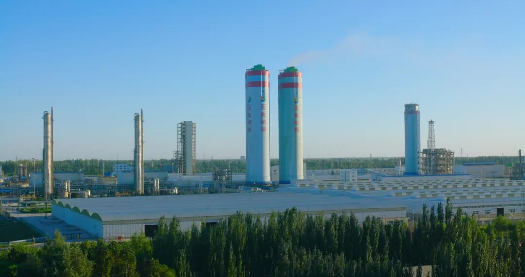 1772258920211703.jpg 640 (4).jpg